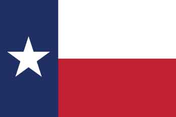 Texas Bounty Hunter Requirements
